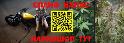 mdma Камышлов